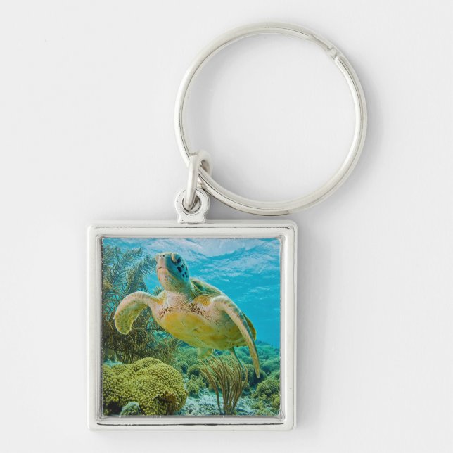 A Green Turtle On The Shallow Reefs Of Bonaire Keychain (Front)