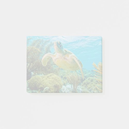 A Green Turtle On The Shallow Reefs Of Bonaire Post_it Notes