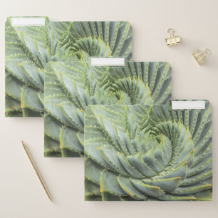 A Green & White Succulent File Folder