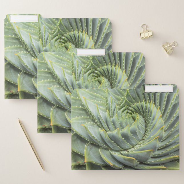 A Green & White Succulent File Folder (Set)