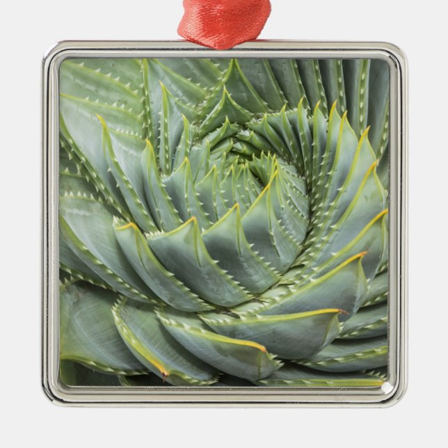 A Green & White Succulent Metal Ornament (Front)