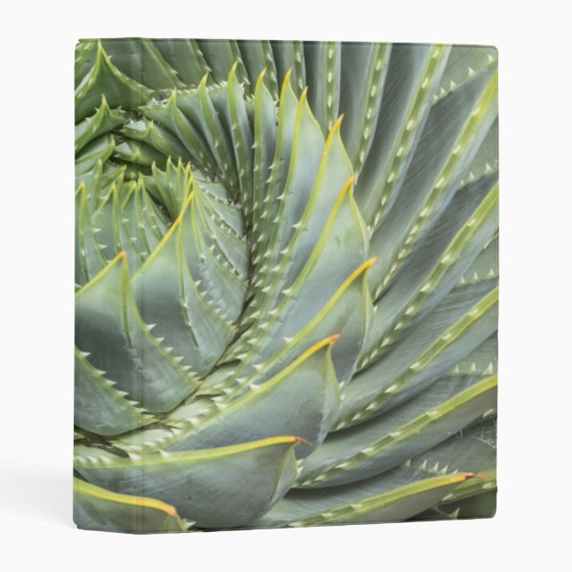 A Green & White Succulent Mini Binder (Front/Spine)