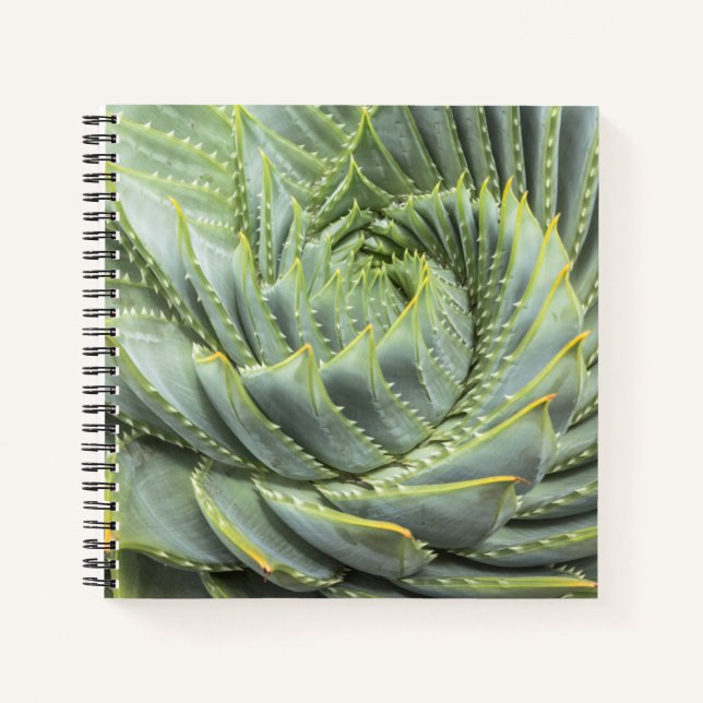 A Green & White Succulent Notebook (Front)