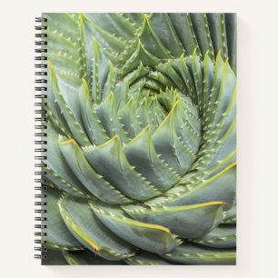 A Green & White Succulent Notebook