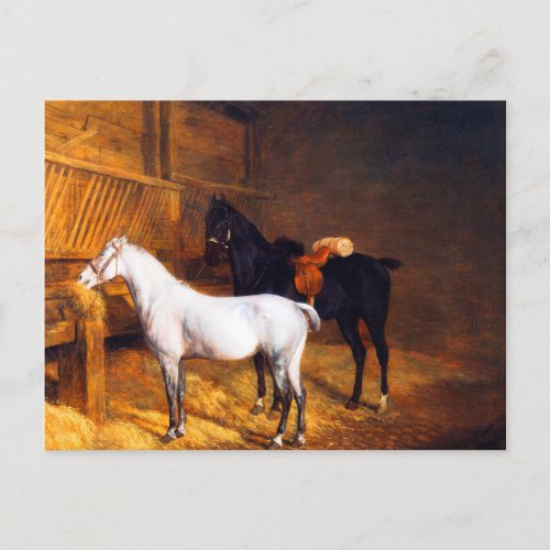 A Grey Pony and a Black horse in a Stable  Postcard