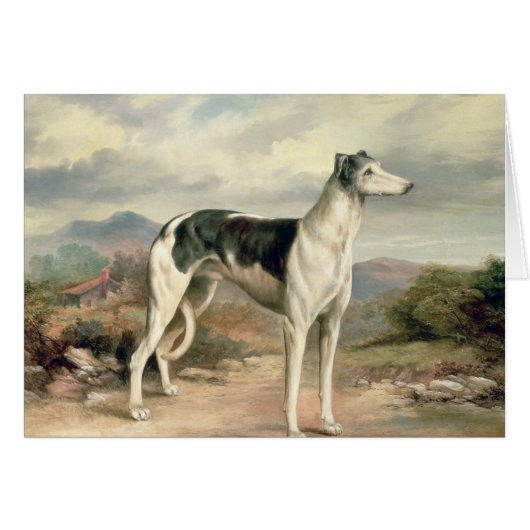 A Greyhound in a hilly landscape Cards (Front Horizontal)