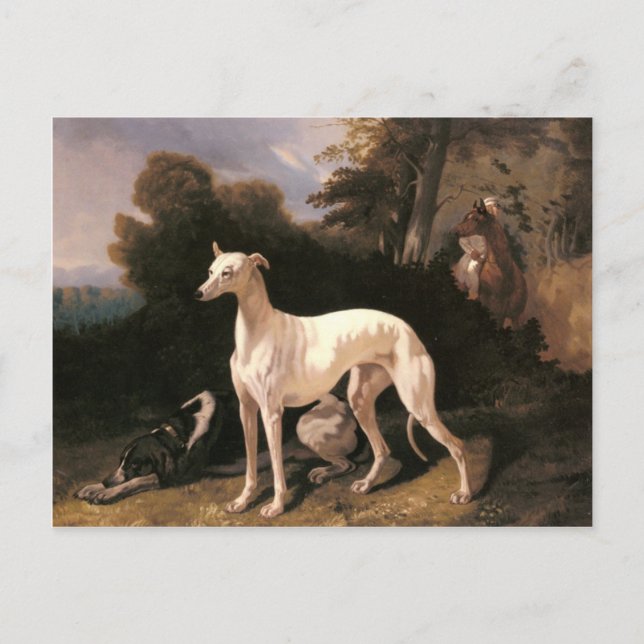 A Greyhound In An Extensive Landscape by de Dreux Postcard (Front)