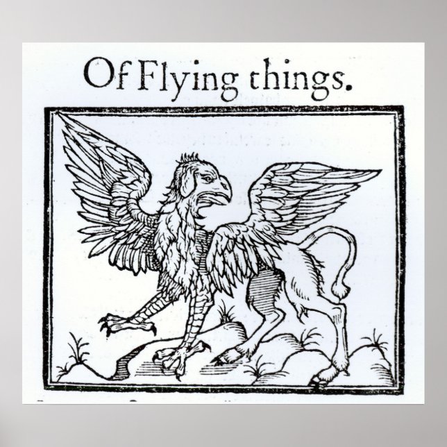 A Griffin Poster (Front)