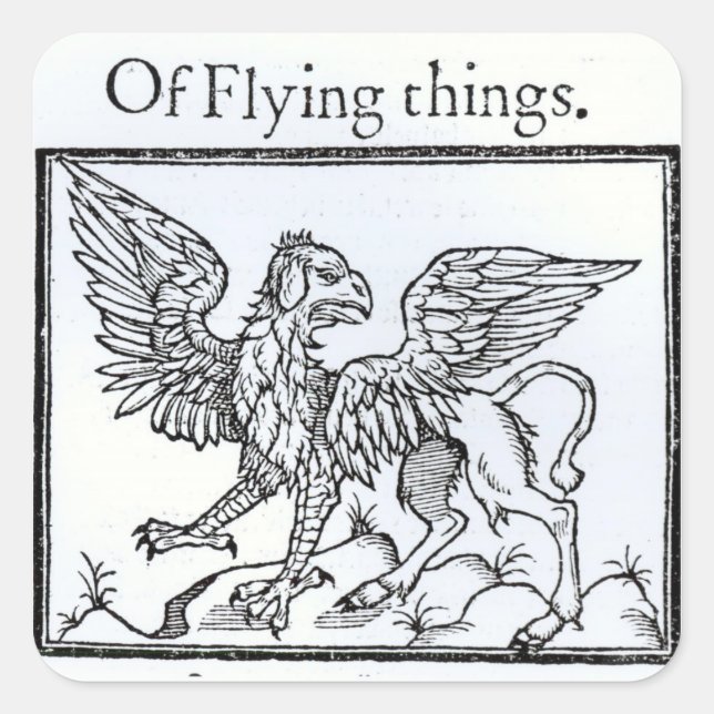 A Griffin Square Sticker (Front)