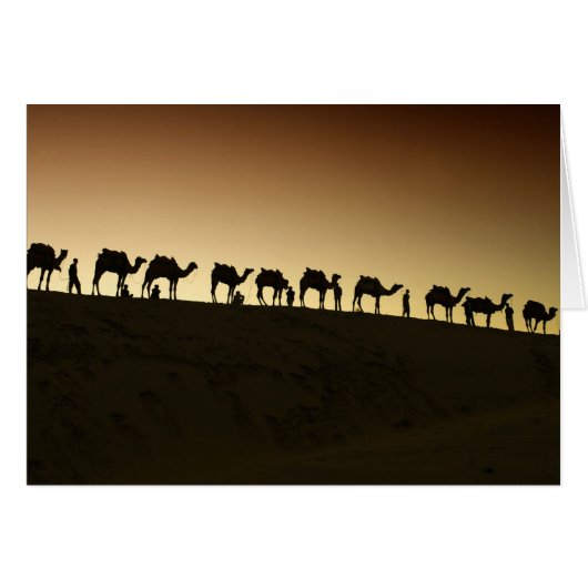 A group of camel herders with their camels cards (Front Horizontal)