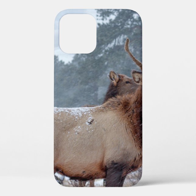 A GROUP OF DEERS Case-Mate iPhone CASE (Back)