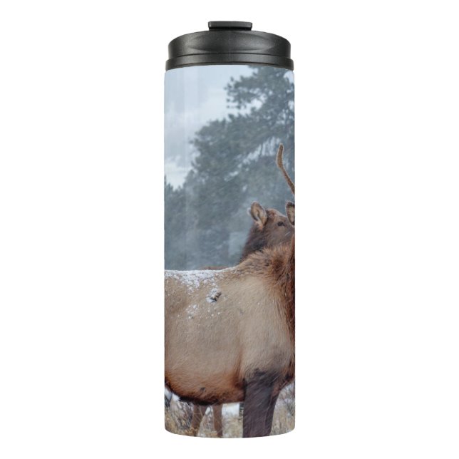 A GROUP OF DEERS THERMAL TUMBLER (Front)