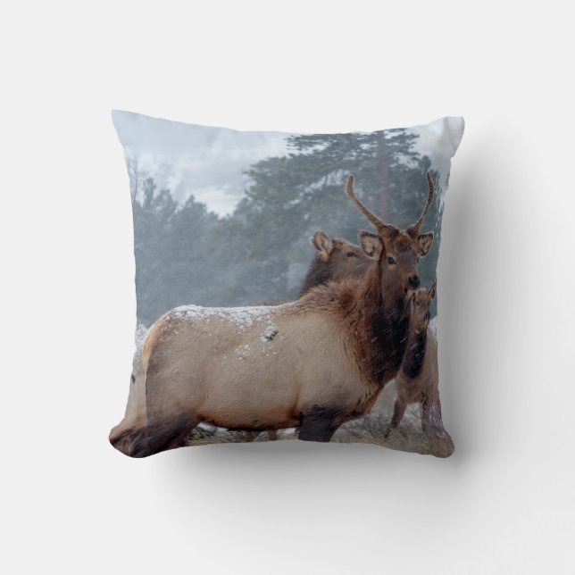 A GROUP OF DEERS THROW PILLOW (Front)