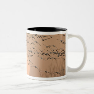 A group of migratory snow geese, Grus Two-Tone Coffee Mug