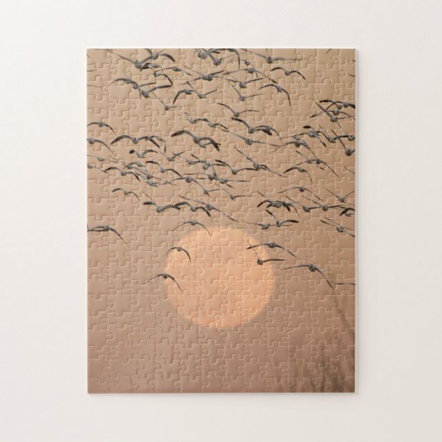 A group of migratory snow geese jigsaw puzzle (Vertical)