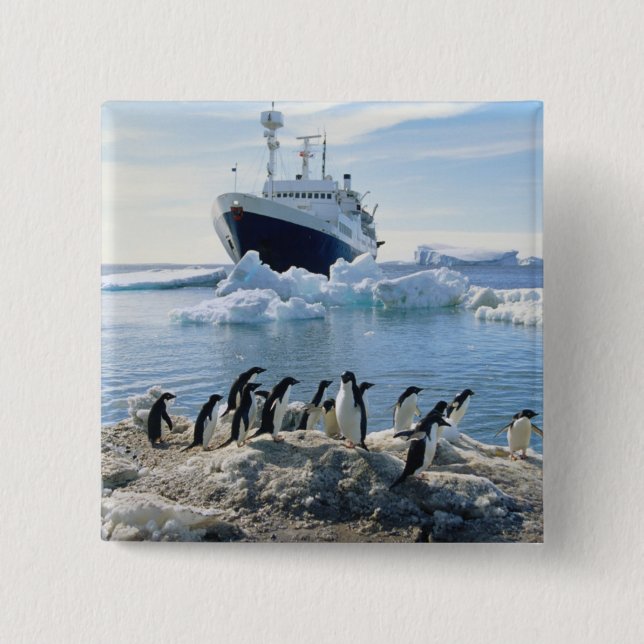 A Group Of Penguins Standing On An Icy Beach Button (Front)