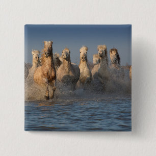 A Group Of White Horses In The Camargue Region Button