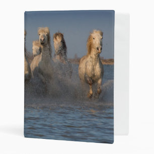 A Group Of White Horses In The Camargue Region Mini Binder