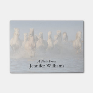 A Group Of White Horses In The Camargue Region Post-it Notes