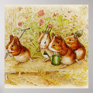 A Guinea Pig Garden of Our Own by Beatrix Potter Poster