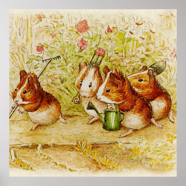 A Guinea Pig Garden of Our Own by Beatrix Potter Poster (Front)