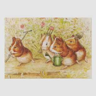 A Guinea Pig Garden of Our Own by Beatrix Potter Tissue Paper