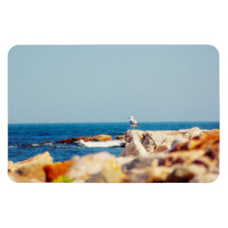 A Gull's Post Magnet