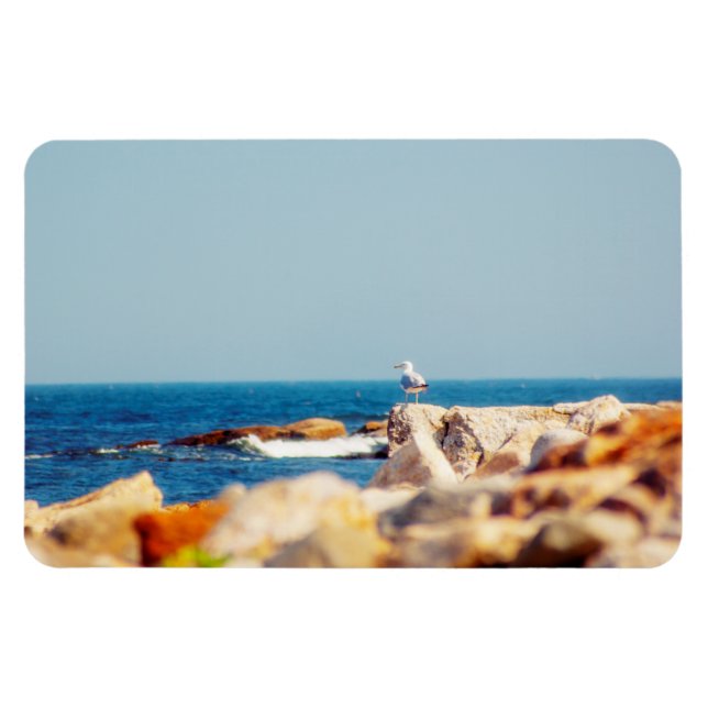A Gull's Post Magnet (Horizontal)