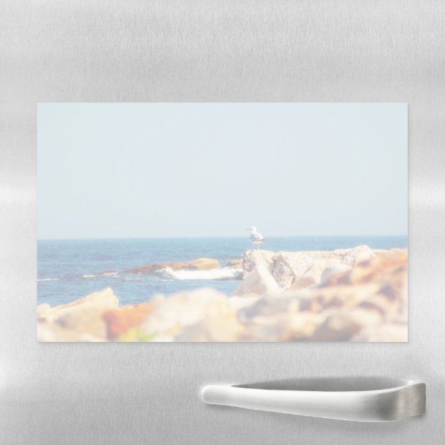 A Gull's Post Magnetic Dry Erase Sheet (In Situ)