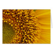 a half-circle (Front Horizontal)