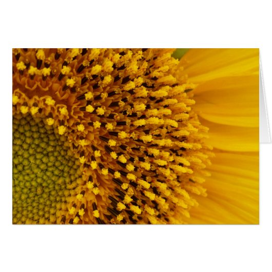 a half-circle (Front Horizontal)