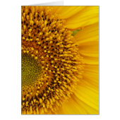 a half-circle (Front)