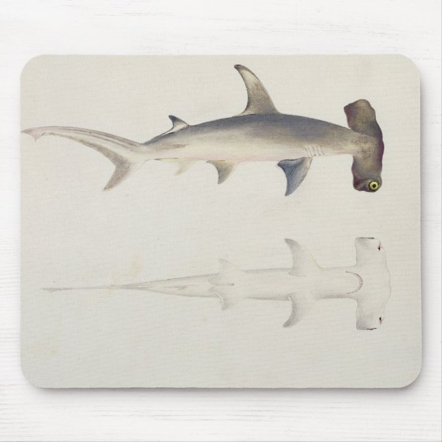 A Hammer-headed Shark, Loheia, formerly attributed Mouse Pad (Front)