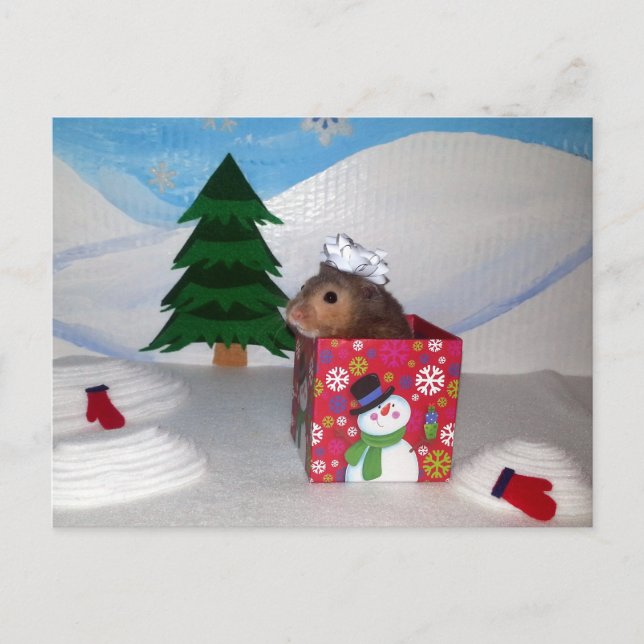 A Hamstery Present! Postcard (Front)