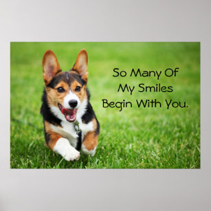A Happy And Energetic Pembroke Welsh Corgi Puppy Poster