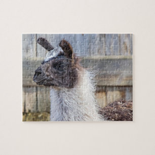 A Happy Llama Jigsaw Puzzle