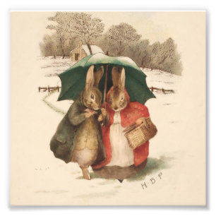 “A Happy Pair” by Beatrix Potter Photo Print