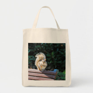 A Happy Squirrel in DC Tote Bag