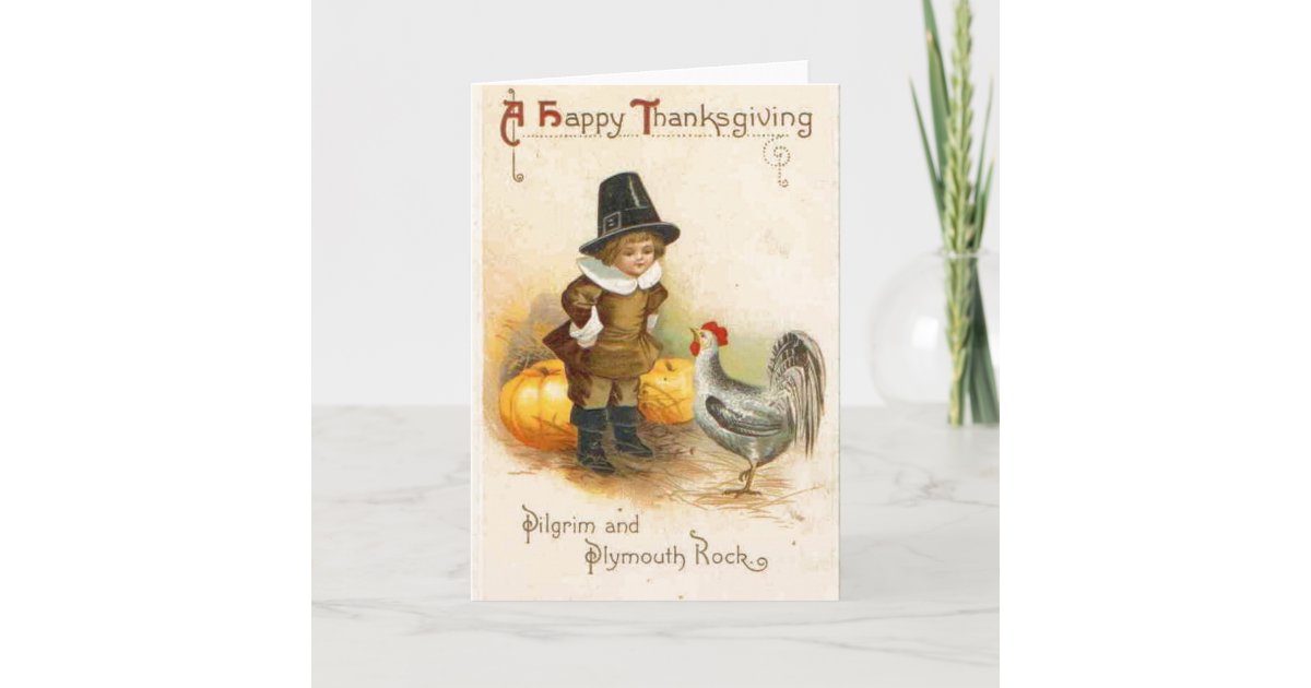 A Happy Thanksgiving Pilgrim and Plymouth Rock Holiday ...