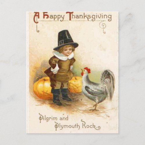 A Happy Thanksgiving Pilgrim and Plymouth Rock Holiday Postcard
