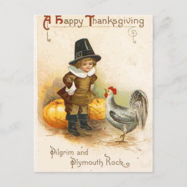 A Happy Thanksgiving Pilgrim and Plymouth Rock Holiday Postcard (Front)