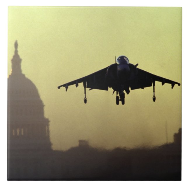 A Harrier jet landing on the Mall at dawn with Tile (Front)