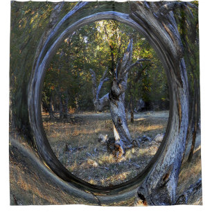 A Haunted tree....... Shower Curtain