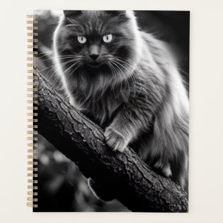 A Haunting Gaze Of A Night Cat Planner