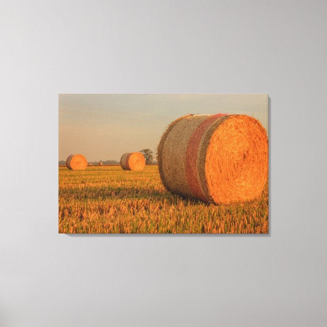A Hay Cylindrical Bale on stretched canvas print (Front)