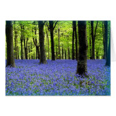 A Haze Of Blue (Front Horizontal)