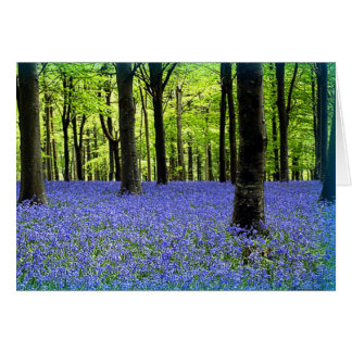 A Haze Of Blue Cards