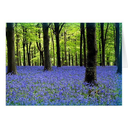 A Haze Of Blue Cards (Front Horizontal)
