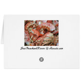 A heap of cooked Lobster and Crab shells Cards (Back Horizontal)
