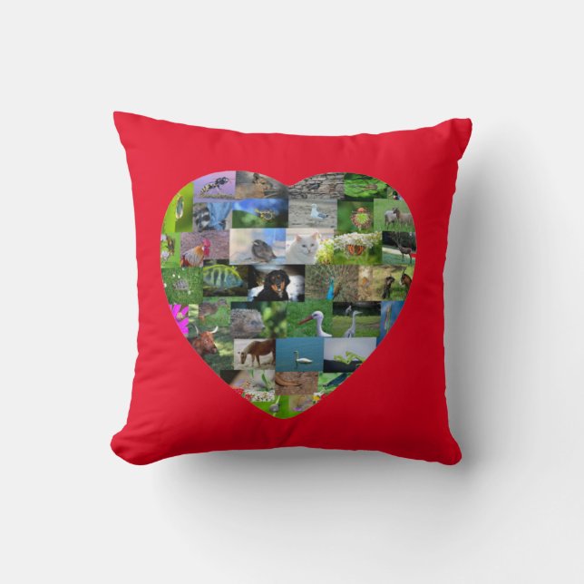 A heart for animals  -  in red throw pillow (Front)